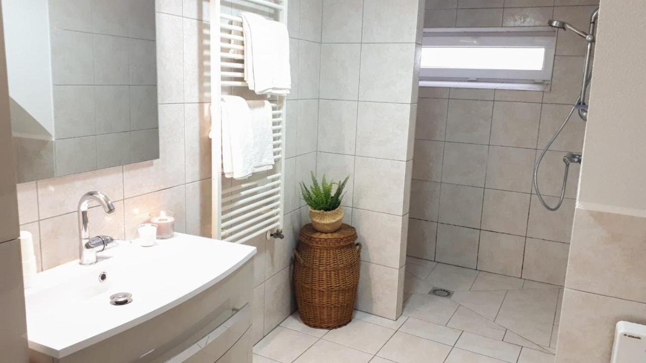 Chez Pinoche Apartment Gertwiller ภายนอก รูปภาพ