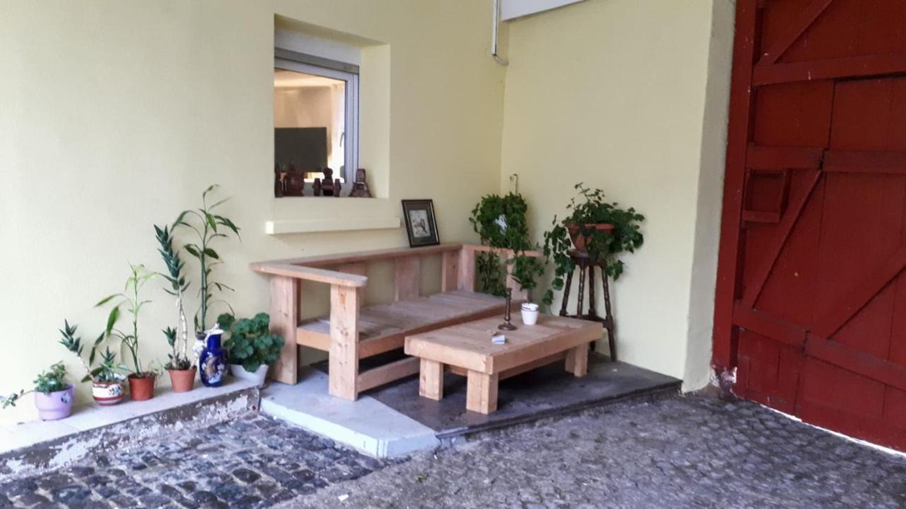 Chez Pinoche Apartment Gertwiller ภายนอก รูปภาพ